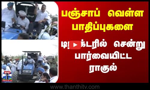 Rahul Gandhi | Punjab Floods | டிராக்டரில் சென்று பஞ்சாப் வெள்ள பாதிப்புகளை பார்வையிட்ட ராகுல்