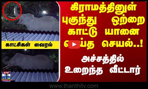 கிராமத்தினுள் புகுந்து  ஒற்றை காட்டு யானை செய்த செயல் ! | அச்சத்தில் உறைந்த வீட்டார்