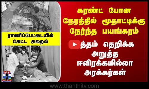 Ranipet Old Women Issue ரத்தம்தெறிக்க அறுத்த ஈவிரக்கமில்லா அரக்கர்கள் - ராணிப்பேட்டையில் கேட்ட அலறல்