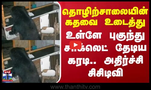 தொழிற்சாலையின் கதவை உடைத்து உள்ளே புகுந்து சாக்லெட் தேடிய கரடி.. அதிர்ச்சி சிசிடிவி