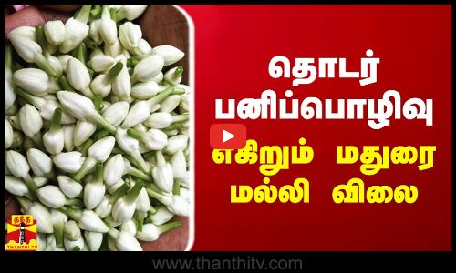 தொடர் பனிப்பொழிவு.. எகிறும் மதுரை மல்லி விலை
