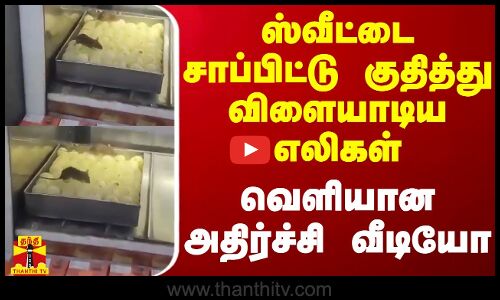 ஸ்வீட்டை சாப்பிட்டு குதித்து விளையாடிய எலிகள் - வெளியான அதிர்ச்சி வீடியோ