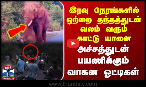 இரவில் ஒற்றை தந்தத்துடன் வலம் வரும் காட்டு யானை | அச்சத்துடன் மக்கள்