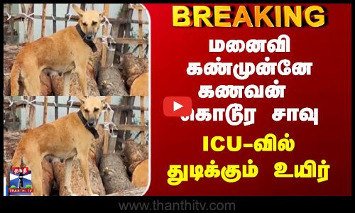 Street Dog | நாயால் மனைவி கண்முன்னே கணவன் கொடூர சாவு - ICU-வில் துடிக்கும் உயிர்