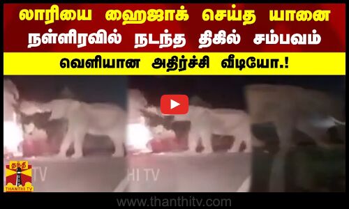 லாரியை ஹைஜாக் செய்த யானை - நள்ளிரவில் நடந்த திகில் சம்பவம்..வெளியான அதிர்ச்சி வீடியோ.!
