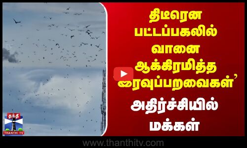 திடீரென பட்டப்பகலில் வானை ஆக்கிரமித்த `இரவுப்பறவைகள் | அதிர்ச்சியில் மக்கள்