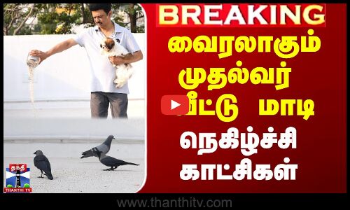 வைரலாகும் முதல்வர் வீட்டு மாடி காட்சிகள்.. தமிழகத்திற்கே CM வைத்த வேண்டுகோள்