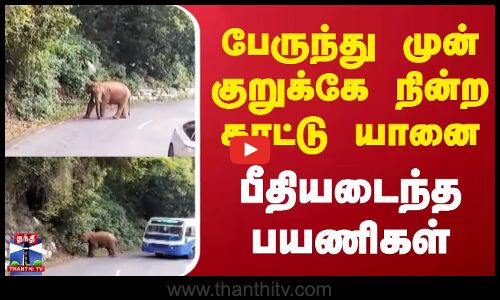 பேருந்தை வழிமறித்த காட்டு யானை பயணிகள் அச்சம்.