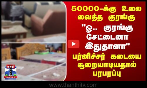 50000-க்கு உலை வைத்த குரங்கு - பர்னிச்சர் கடையை சூறையாடியதால் பரபரப்பு