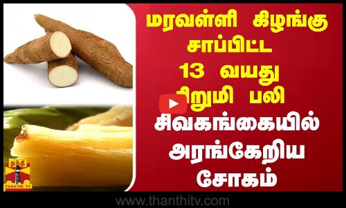 மரவள்ளி கிழங்கு சாப்பிட்ட 13 வயது  சிறுமி பலி  - சிவகங்கையில் அரங்கேறிய  சோகம்