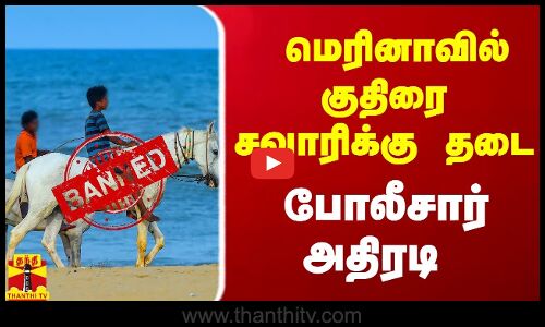 மெரினாவில் குதிரை சவாரிக்கு தடை  - போலீசார்அதிரடி