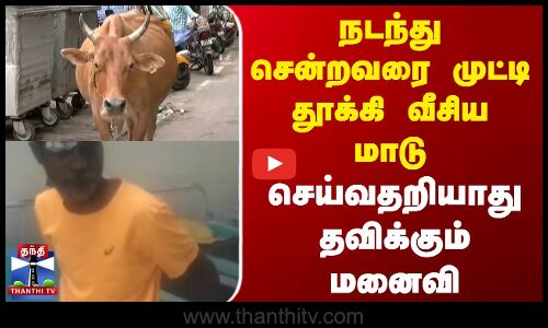 நடந்து சென்றவரை முட்டி தூக்கி வீசிய மாடு | செய்வதறியாது தவிக்கும் மனைவி