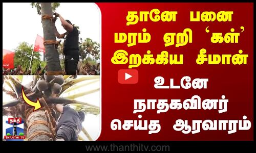 தானே பனை மரம் ஏறி `கள்’ இறக்கிய சீமான் - உடனே நாதகவினர் செய்த ஆரவாரம்