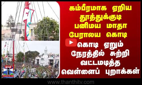 கம்பீரமாக ஏறிய பனிமய மாதா ஆலய கொடி - சமாதானச் சின்னமாக வட்டமடித்த வெள்ளைப் புறாக்கள்