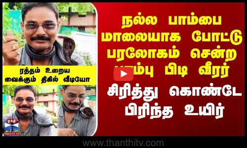 பாம்பை மாலையாக போட்டு பரலோகம் சென்ற பாம்பு பிடி வீரர் -  திகில் வீடியோ