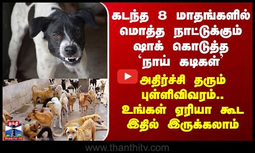 Stray Dogs | கடந்த 8 மாதங்களில் பெரிய அதிர்ச்சி கொடுத்த நாய் கடிகள்.. ஷாக் தரும் ரிப்போர்ட்