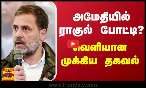 அமேதியில் ராகுல் போட்டி? - வெளியான முக்கிய தகவல் | rahul gandhi
