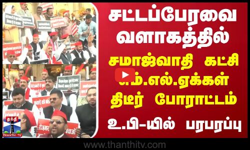 சட்டப்பேரவை வளாகத்தில் சமாஜ்வாதி கட்சி எம்.எல்.ஏக்கள் திடீர் போராட்டம்... உ.பி யில் பரபரப்பு