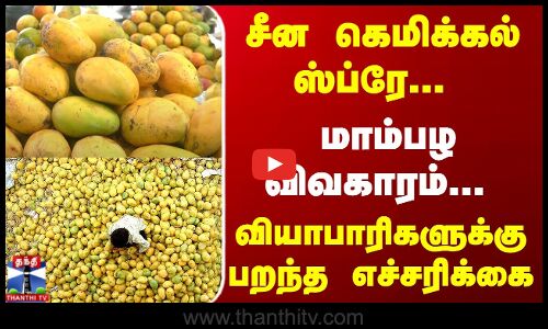JUSTIN | Mango | Fruit | FSSAI | சீன கெமிக்கல் ஸ்ப்ரே... மாம்பழ வியாபாரிகளுக்கு பறந்த எச்சரிக்கை