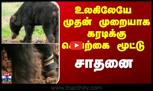 Hosur Bear | மூட்டு வலியால் அவதிப்பட்ட கரடி - செயற்கை மூட்டு பொருத்தி சாதனை