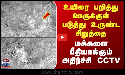 PollachiLeopard |உயிரை பறித்து ஊருக்குள் படுத்து உருண்ட சிறுத்தை-மக்களை பீதியாக்கும் அதிர்ச்சி CCTV