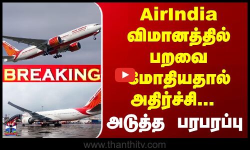AirIndia விமானத்தில் பறவை மோதியதால் அதிர்ச்சி...