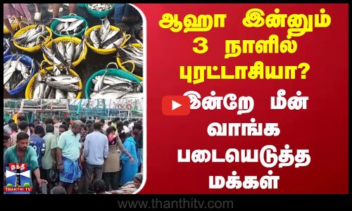 Kasimedu Fish Market | ஆஹா இன்னும் 3 நாளில் புரட்டாசியா?.. இன்றே மீன் வாங்க படையெடுத்த மக்கள்