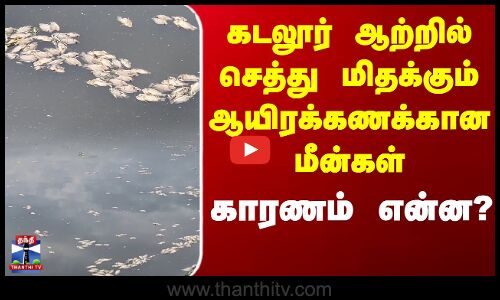 Cuddalore | கடலூர் கெடிலம் ஆற்றில் செத்து மிதக்கும் ஆயிரக்கணக்கான மீன்கள் -  ஆலை கழிவுகள் காரணமா?
