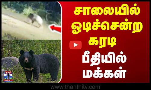 சாலையில் ஓடிச்சென்ற கரடி பீதியில் மக்கள்..