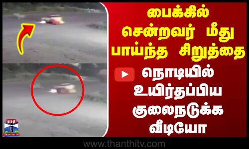 பைக்கில் சென்றவர் மீது பாய்ந்த சிறுத்தை - நொடியில் உயிர்தப்பிய வீடியோ