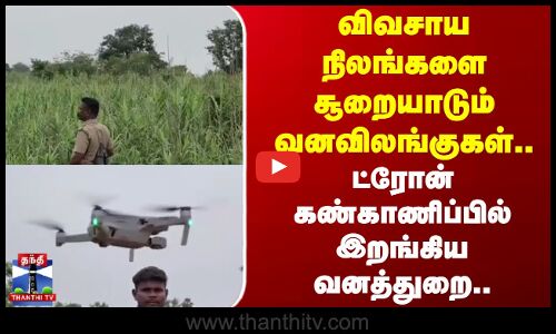 Tenkasi | Drone| விவசாய நிலங்களை சூறையாடும் வனவிலங்குகள்.. ட்ரோன் கண்காணிப்பில் இறங்கிய வனத்துறை