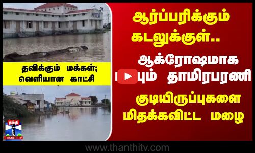 Thiruchendur | Thamirabarani | குடியிருப்புகளை சூழ்ந்த வெள்ளம்.. மிதக்கும் புன்னைக்காயல்