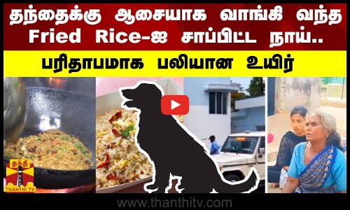 தந்தைக்கு ஆசையாக வாங்கி வந்த Fried Rice-ஐ சாப்பிட்ட நாய்.. - பரிதாபமாக பலியான உயிர்