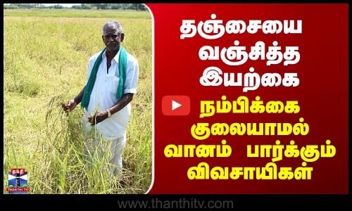 Thanjavur | தஞ்சையை  வஞ்சித்த இயற்கை -  நம்பிக்கை குலையாமல் வானம் பார்க்கும் விவசாயிகள்