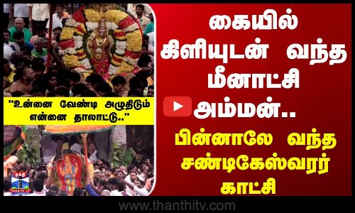 Thiruvannamalai | கையில் கிளியுடன் வந்த மீனாட்சி அம்மன்.. பின்னாலே சண்டிகேஸ்வரர் வந்த காட்சி