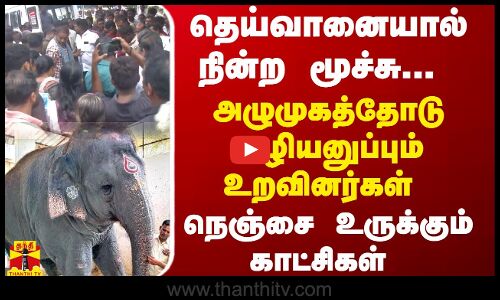 தெய்வானையால் நின்ற மூச்சு... அழுமுகத்தோடு வழியனுப்பும் உறவினர்கள்... நெஞ்சை உருக்கும் காட்சிகள்..