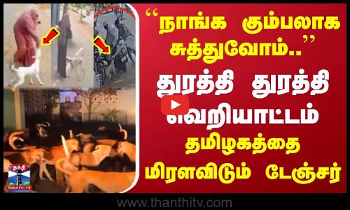 Tenkasi Stray Dog issue | துரத்தி துரத்தி வெறியாட்டம் | தமிழகத்தை மிரளவிடும் டேஞ்சர்