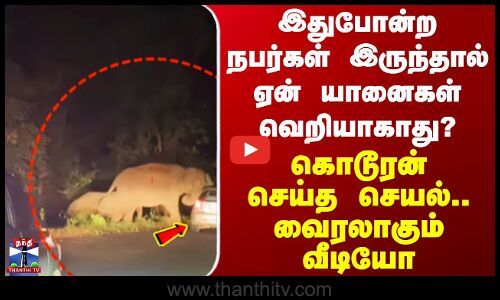 Elephant | இதுபோன்ற நபர்கள் இருந்தால் ஏன் யானைகள் வெறியாகாது? கொடூரன் செய்த செயல்.. வைரலாகும் வீடியோ