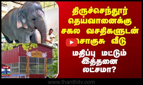 திருச்செந்தூர் தெய்வானைக்கு சகல வசதிகளுடன் சொகுசு வீடு - இத்தனை லட்சமா?