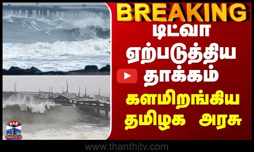 TN Rains | Ditwah Cyclone | டிட்வா ஏற்படுத்திய தாக்கம் - களமிறங்கிய தமிழக அரசு