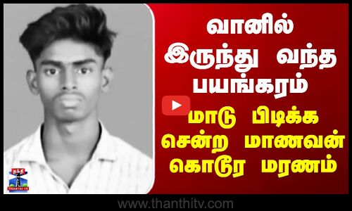 Vellore Latest News | வானில் இருந்து வந்த பயங்கரம் - மாடு பிடிக்க சென்ற மாணவன் கொடூர மரணம்