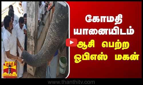 கோமதி யானையிடம் ஆசி பெற்ற ஓபிஎஸ் மகன்