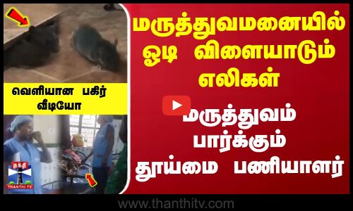 மருத்துவமனையில் ஓடி  விளையாடும் எலிகள் மருத்துவம் பார்க்கும்  தூய்மை பணியாளர்