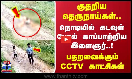 குதறிய தெருநாய்கள்..நொடியில் கடவுள் போல் காப்பாற்றிய இளைஞர்..!