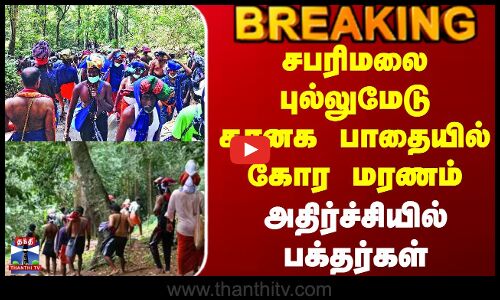 #BREAKING || Sabarimalai | சபரிமலை புல்லுமேடு கானக பாதையில் கோர மரணம் - அதிர்ச்சியில் பக்தர்கள்