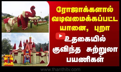 ரோஜாக்களால் வடிவமைக்கப்பட்ட யானை, புறா... உதகையில் குவிந்த சுற்றுலா பயணிகள்
