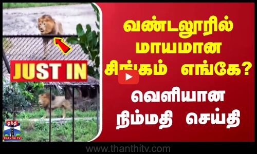 JUSTIN | Vandalur Zoo Lion | வண்டலூரில் மாயமான சிங்கம் எங்கே? | வெளியான நிம்மதி செய்தி