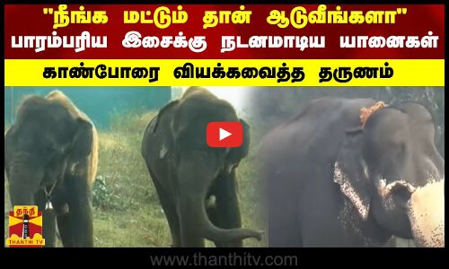 நீங்க மட்டும் தான் ஆடுவீங்களா | பாரம்பரிய இசைக்கு நடனமாடிய யானைகள்..காண்போரை வியக்கவைத்த தருணம்