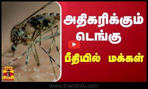 அதிகரிக்கும் டெங்கு.. பீதியில் மக்கள்