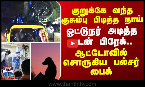 Vellore accident ||  குறுக்கே வந்த குசும்பு பிடித்த நாய்..ஓட்டுநர் அடித்த சடன் பிரேக் - ஆட்டோவில் சொருகிய பல்சர் பைக்